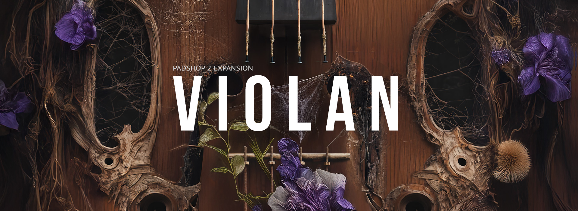 Violan